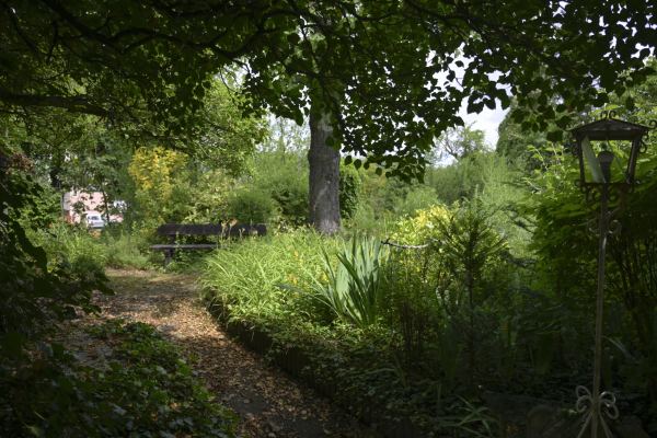 Une allée du jardin sous les arbres, entre les massifs